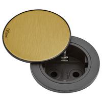 Steckdosenelement 417461 Schwarz/Messing - Messingfarben/Schwarz, Kunststoff (16,5/7,4cm) - Vogt