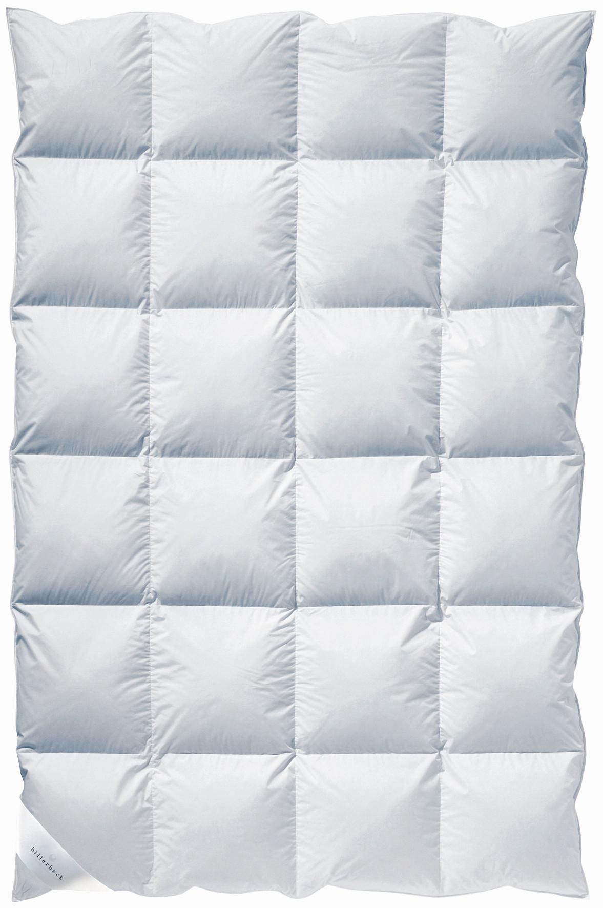 KOŁDRA PUCHOWA ARKTIKA 80 KASSETTE II - Basics, tkanina (135/200cm) - Billerbeck