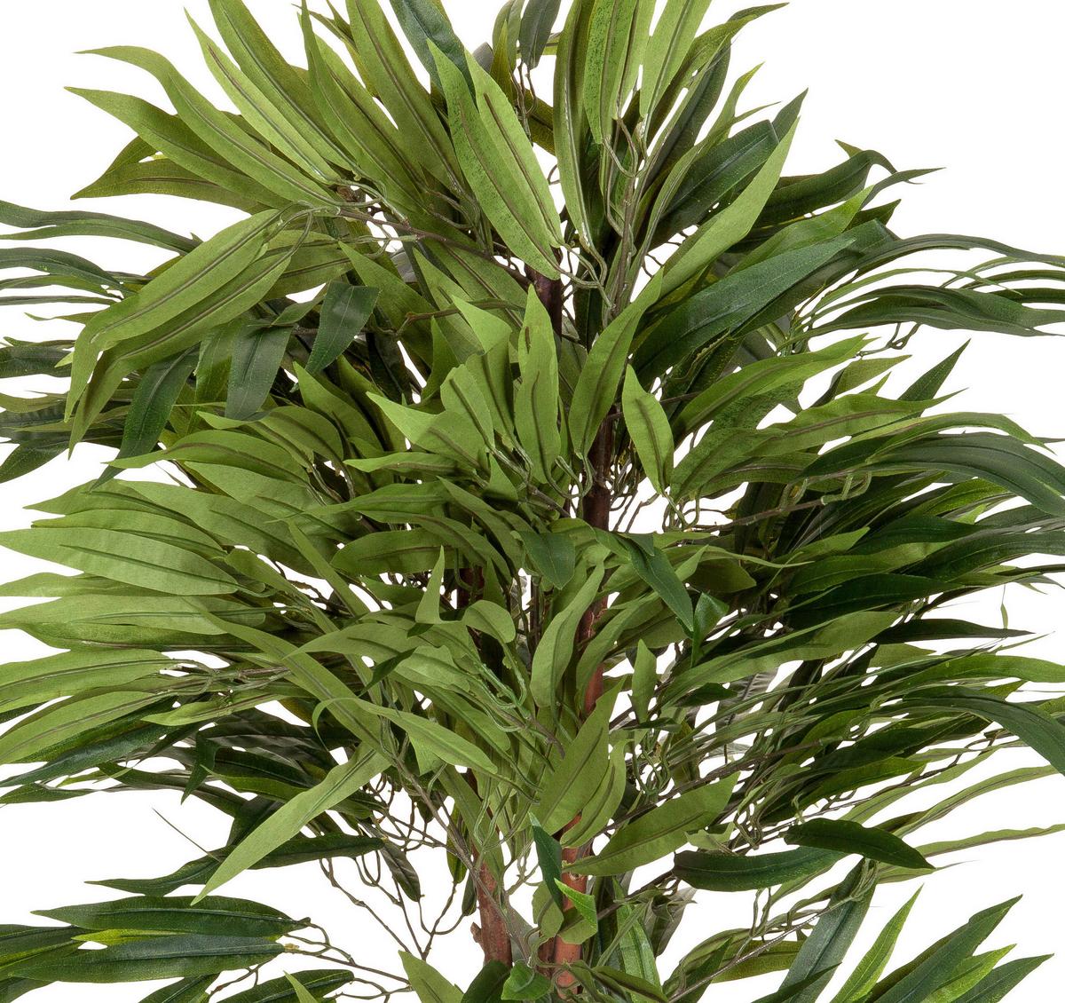 Umetna Rastlina Mango - črna/zelena, Basics, umetna masa (85/130/85cm) - MID.YOU