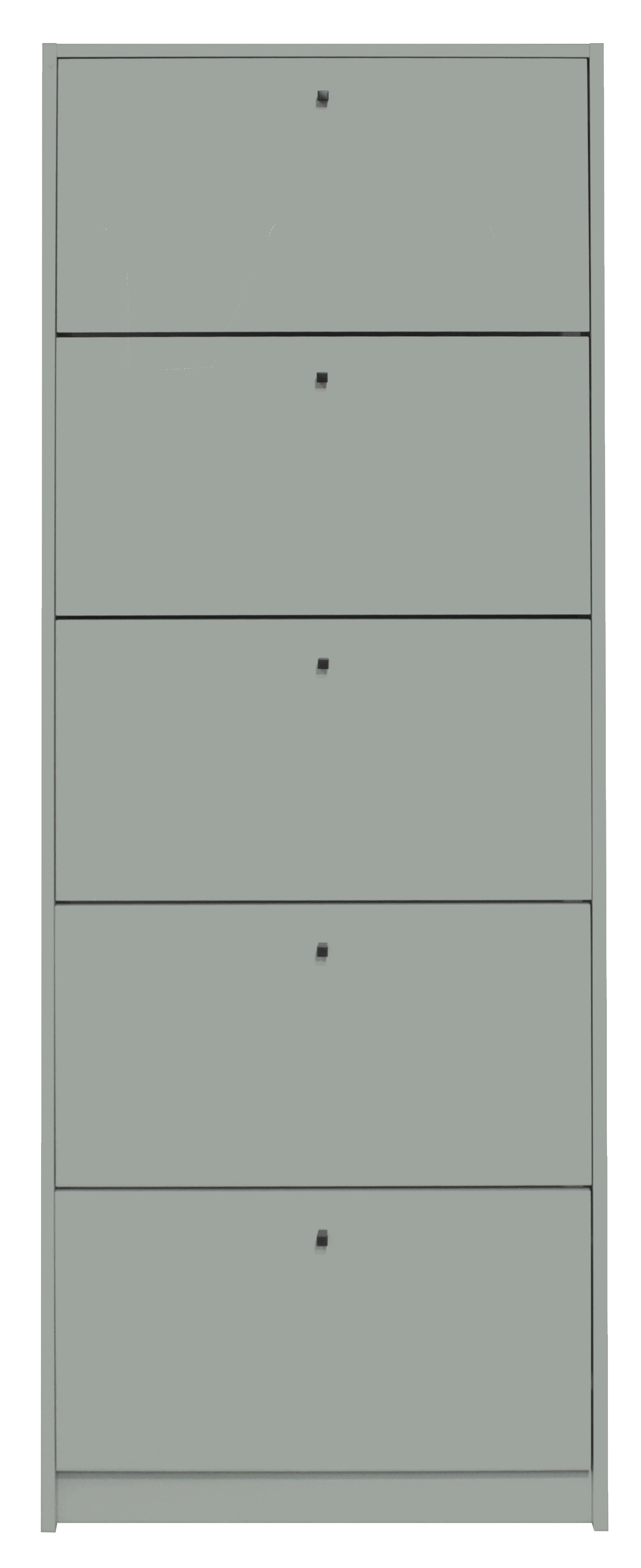 Schuhkipper Flap in Mintgrün - Schwarz/Mintgrün, MODERN, Holzwerkstoff/Metall (60/168/16cm) - Mömax