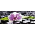 Glasbild Silence Spitted, ca.30x80x2cm - Multicolor, MODERN, Glas (30/80/2cm) - MÖMAX modern living
