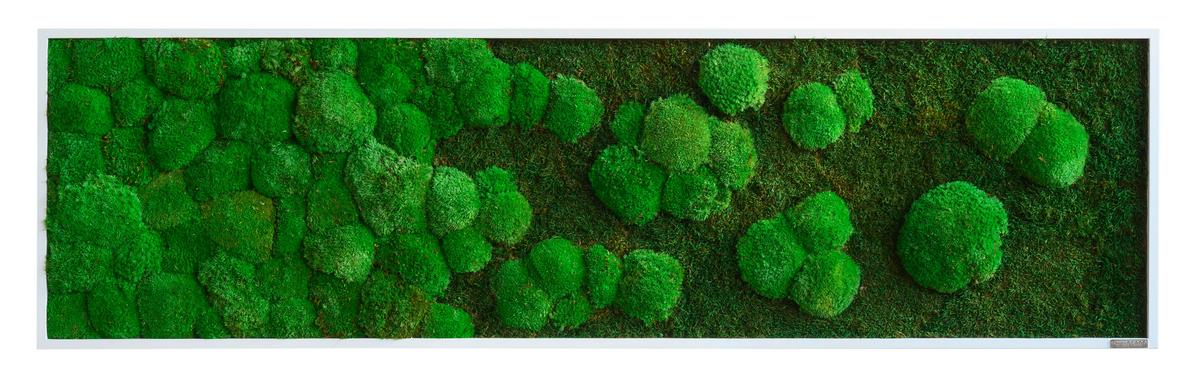 Moosbild Grün - Weiß/Grün, Basics, Naturmaterialien/Holz (140/40/7cm)