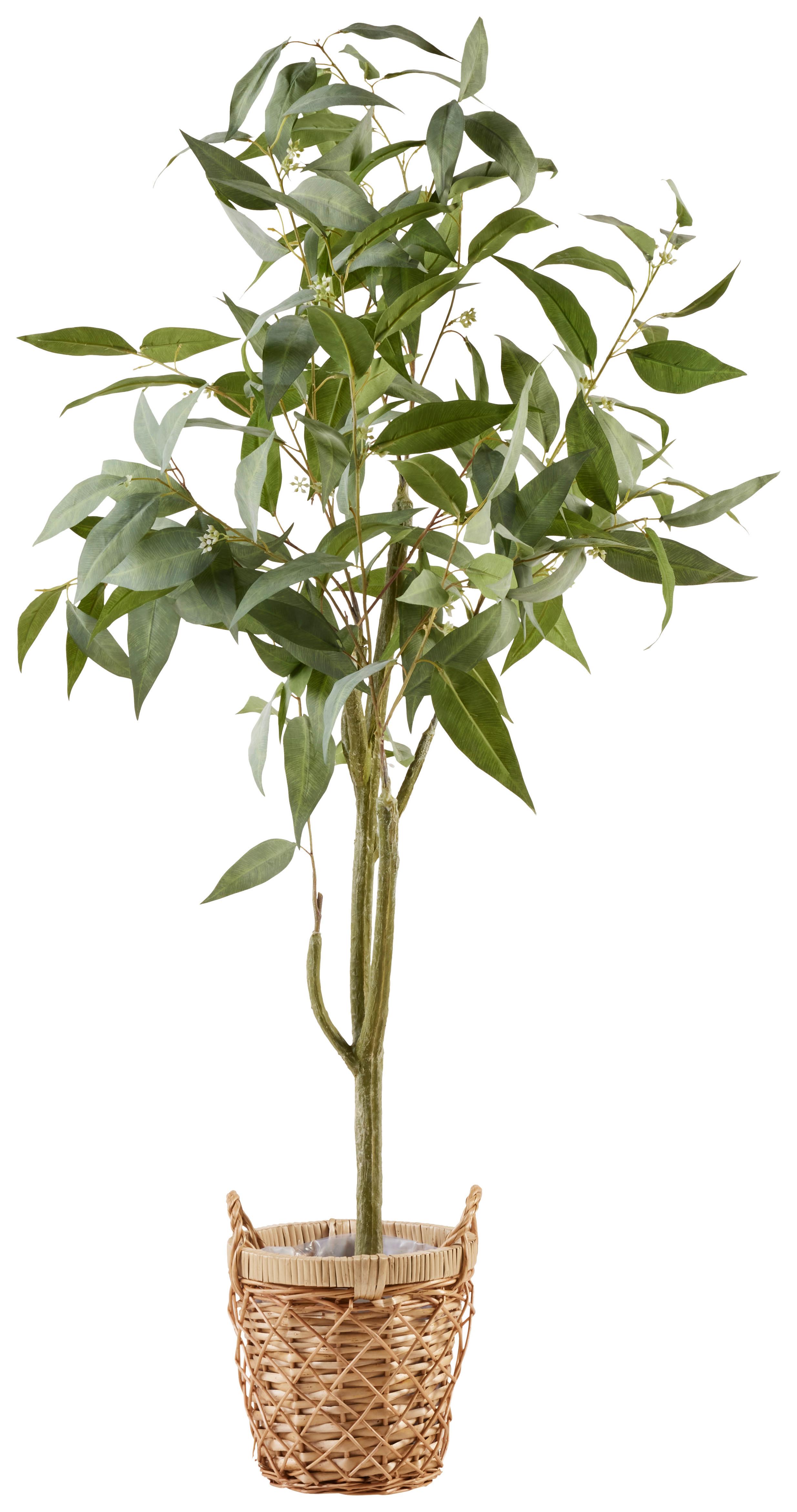 Kosár Warema - natúr, Natur, természetes anyagok (20/20/20cm) - Modern Living