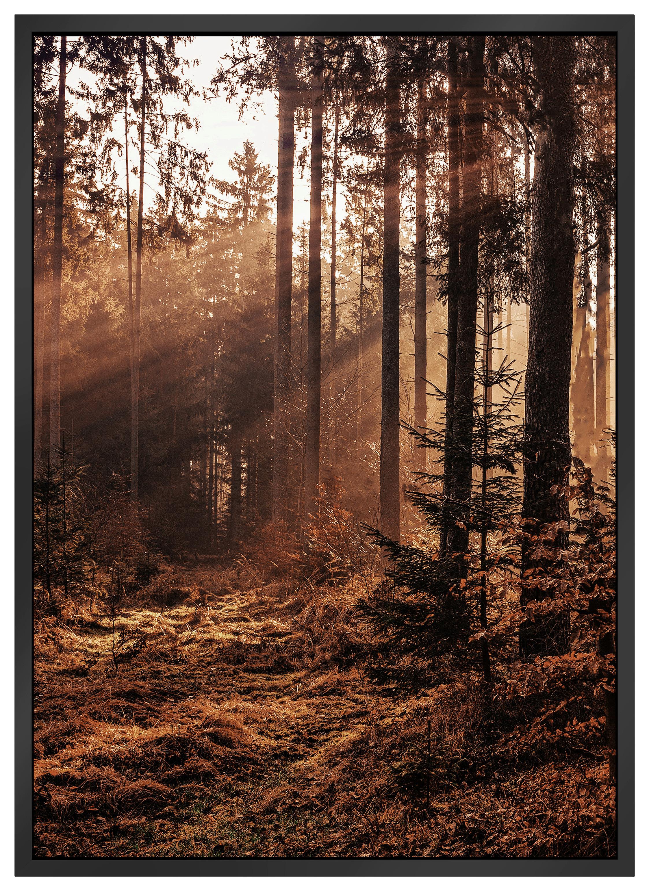 Bild Image in Braun/Beige ca. 50x70cm - Dunkelbraun/Beige, Holzwerkstoff/Papier (50/70cm) - Modern Living