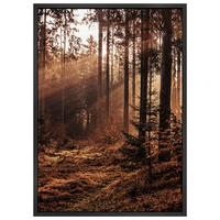 Bild Image in Braun/Beige ca. 50x70cm - Dunkelbraun/Beige, Holzwerkstoff/Papier (50/70cm) - Modern Living