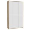 Dulap pentru pantofi ALICE - gri deschis/stejar Artisan, Modern, material pe bază de lemn (109,2/191,9/34,9cm) - Modern Living