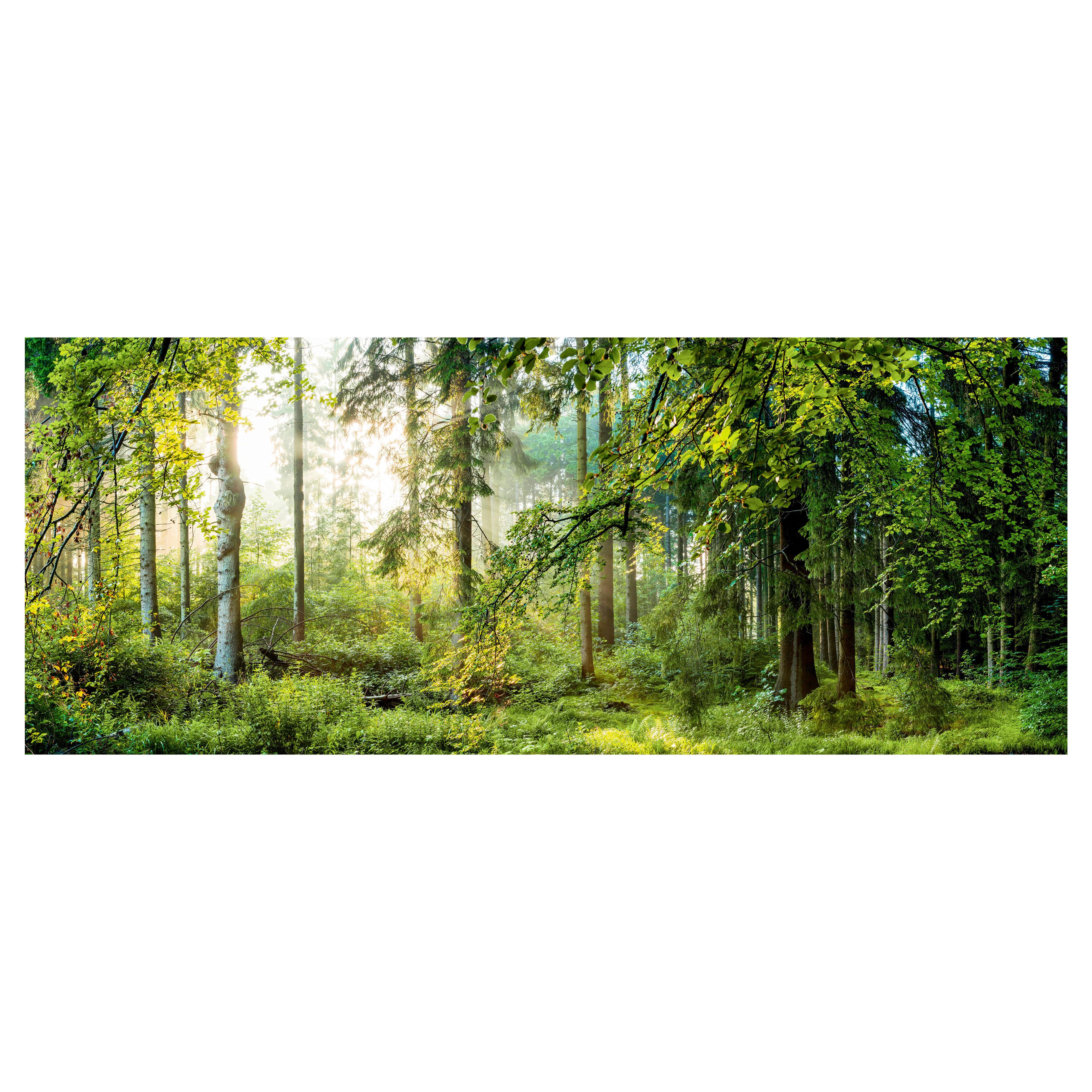 OBRAZ GL319 - różnokolorowy, Basics, szkło (125/50cm) - Monee