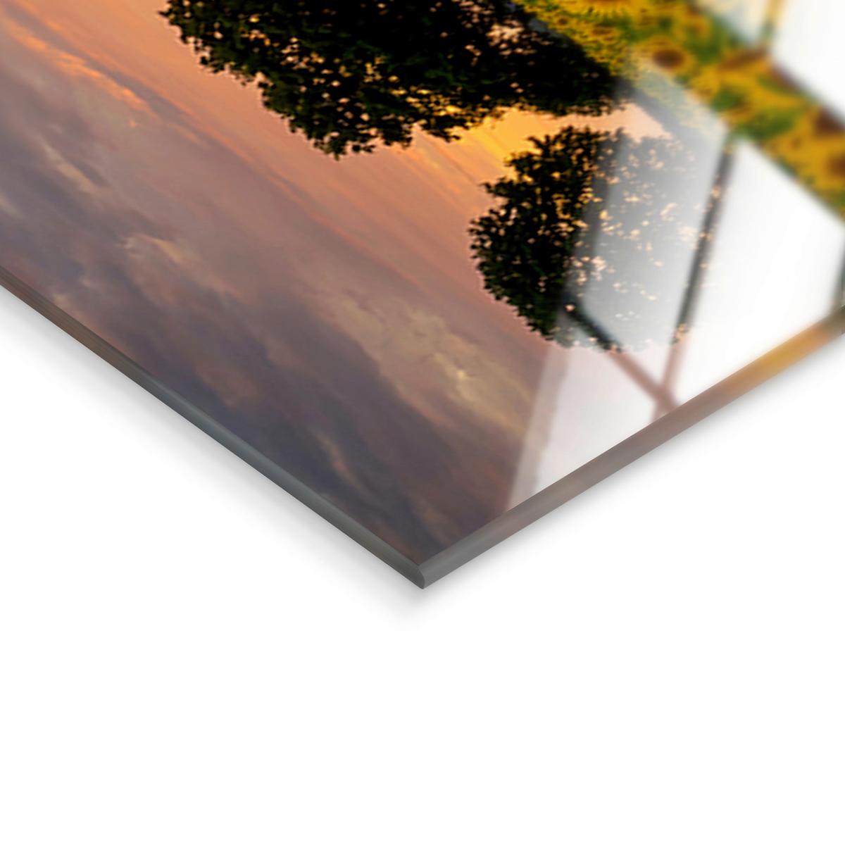 Glasbild Sunflowers Multicolor ca. 125x50cm - Multicolor, Basics, Glas/Papier (125/50cm)