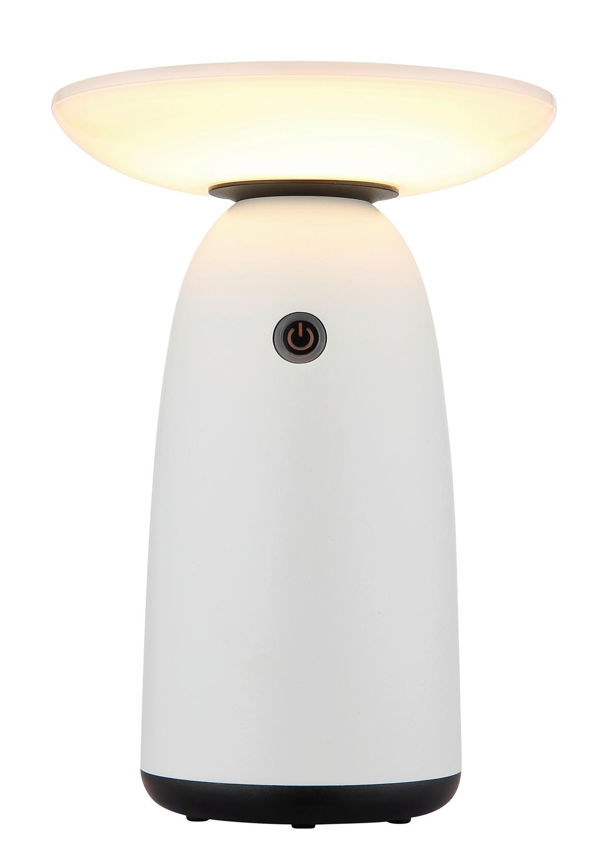 Solarleuchte 36625w  Solar - Weiss/Opal, Design, Kunststoff/Metall (16/22,5cm) - Globo