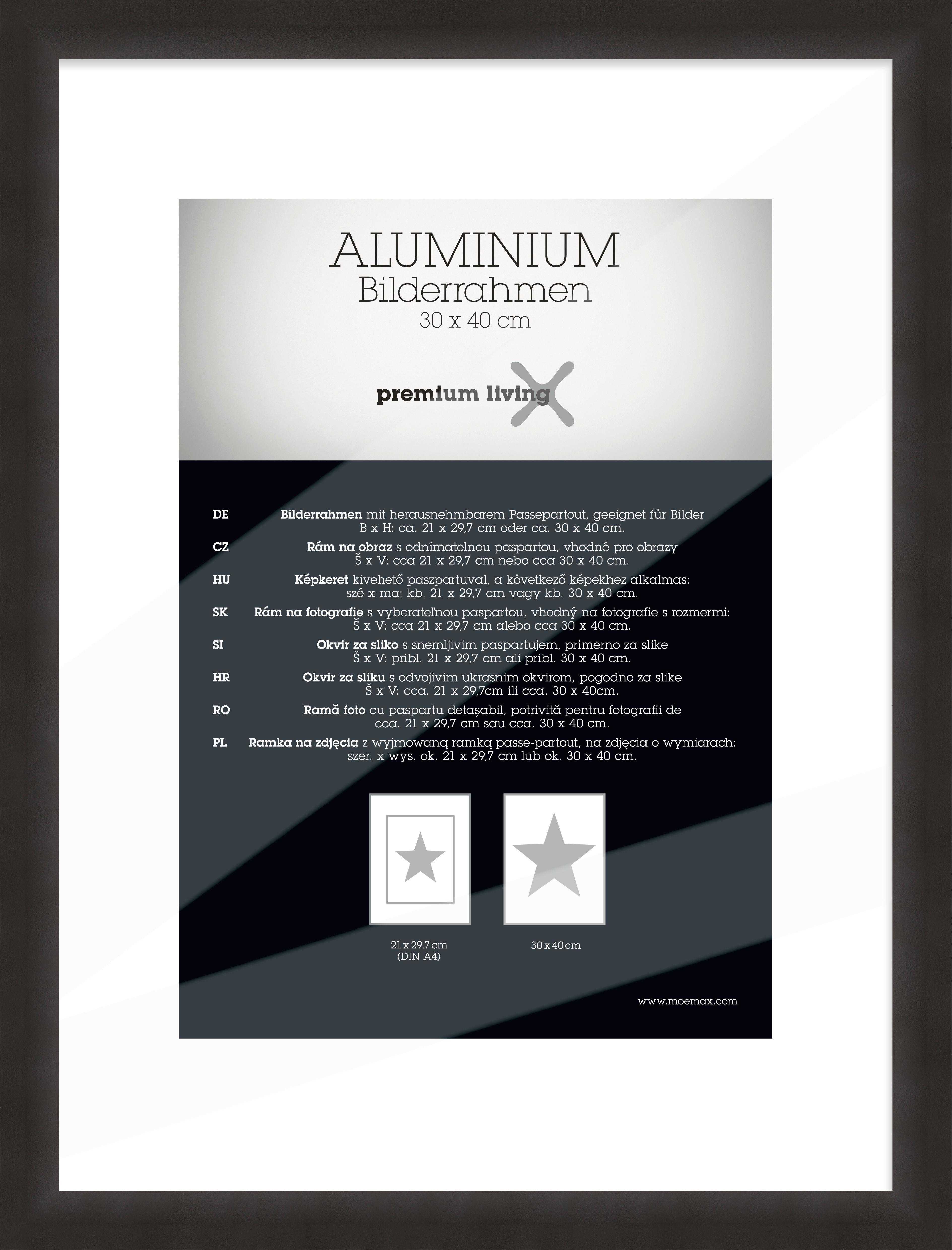 Okvir Za Slike Aluminium - črna, Basics, kovina (33,1/43,1/2.2cm) - Premium Living