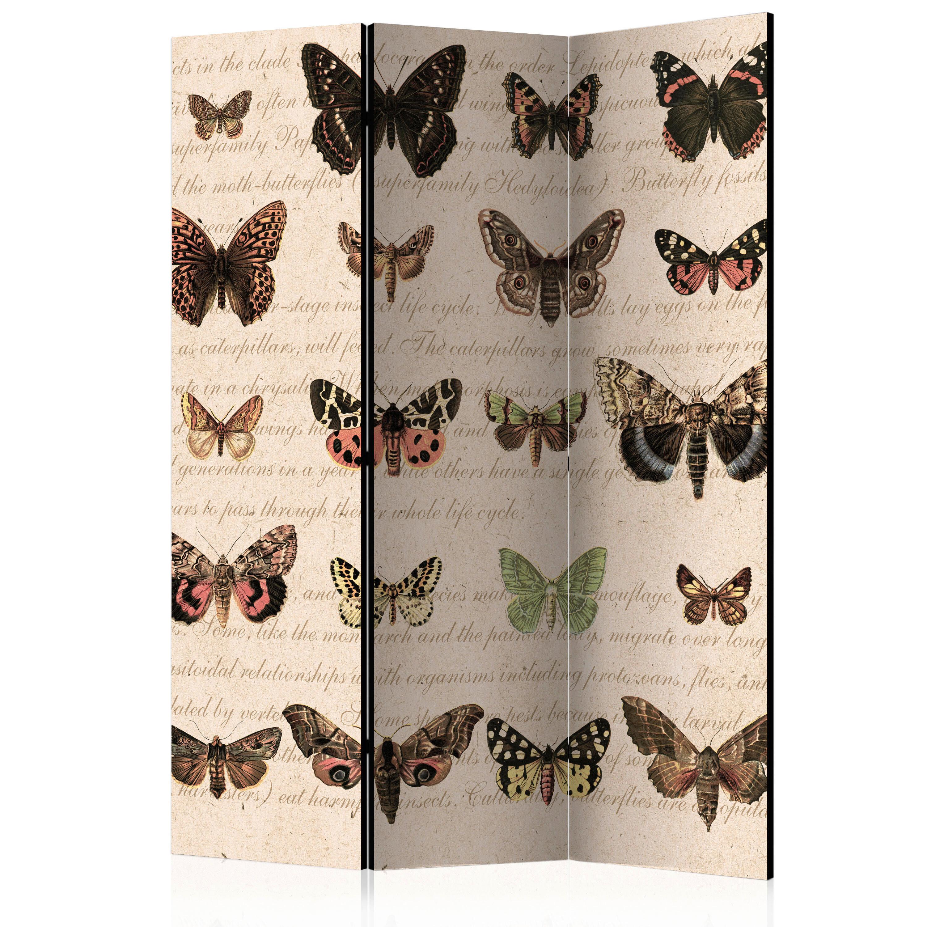 Paravan Butterflies, 3-Delni, Dvostranski - bež/rjava, Basics, tekstil/les (135/172/3cm) - artgeist