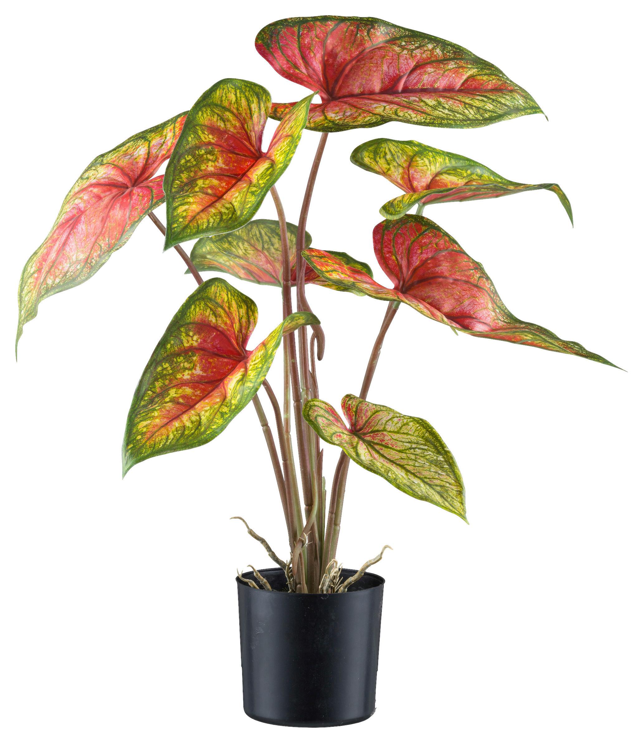 Kunstpflanze Grünpflanzen Grün/Rot/Braun/Schwarz - Rot/Schwarz, Design, Kunststoff (55cm)