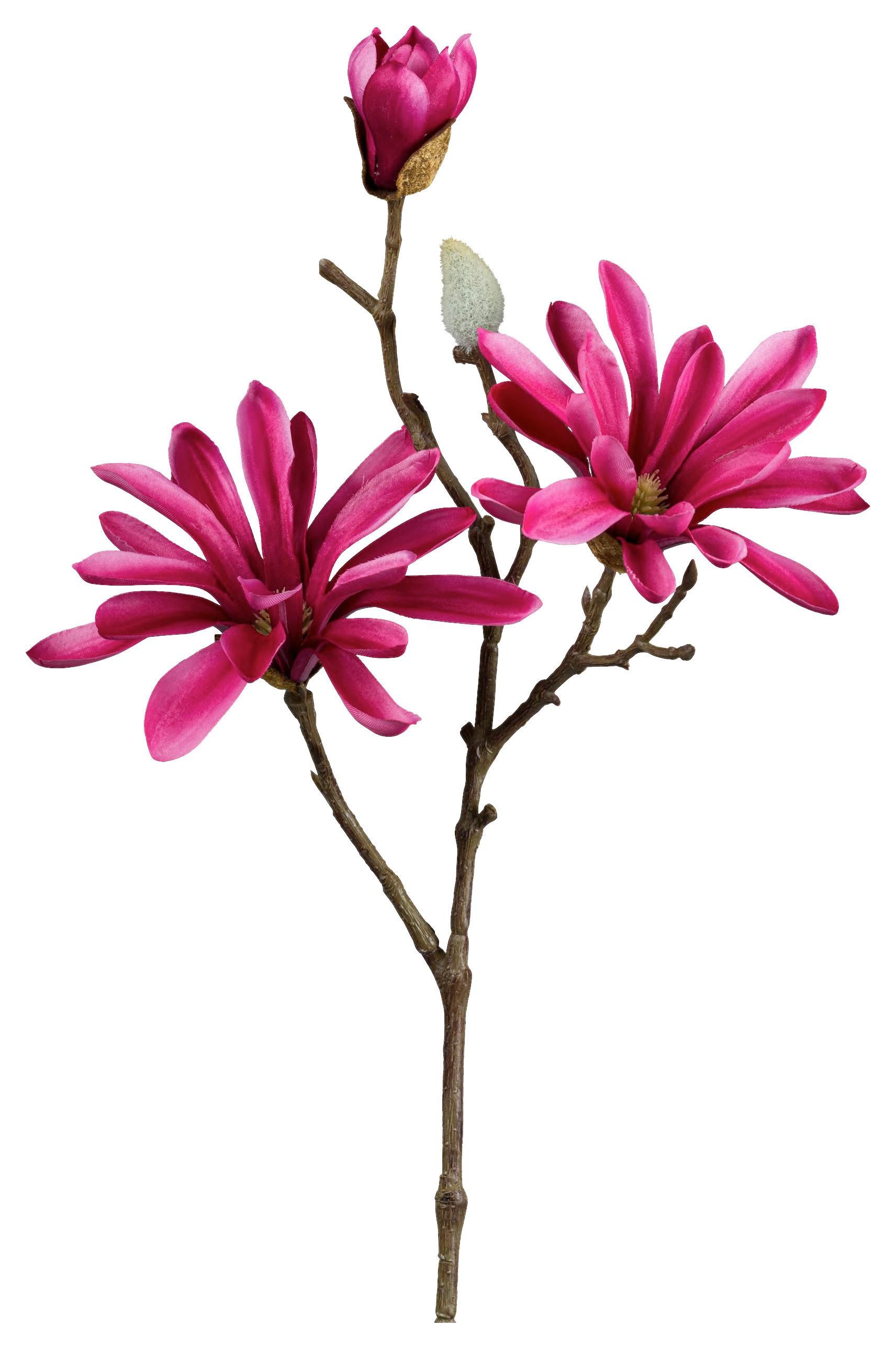 Kunstpflanze Magnolie I Pink/Braun - Pink/Braun, Konventionell, Kunststoff (69cm) - Modern Living