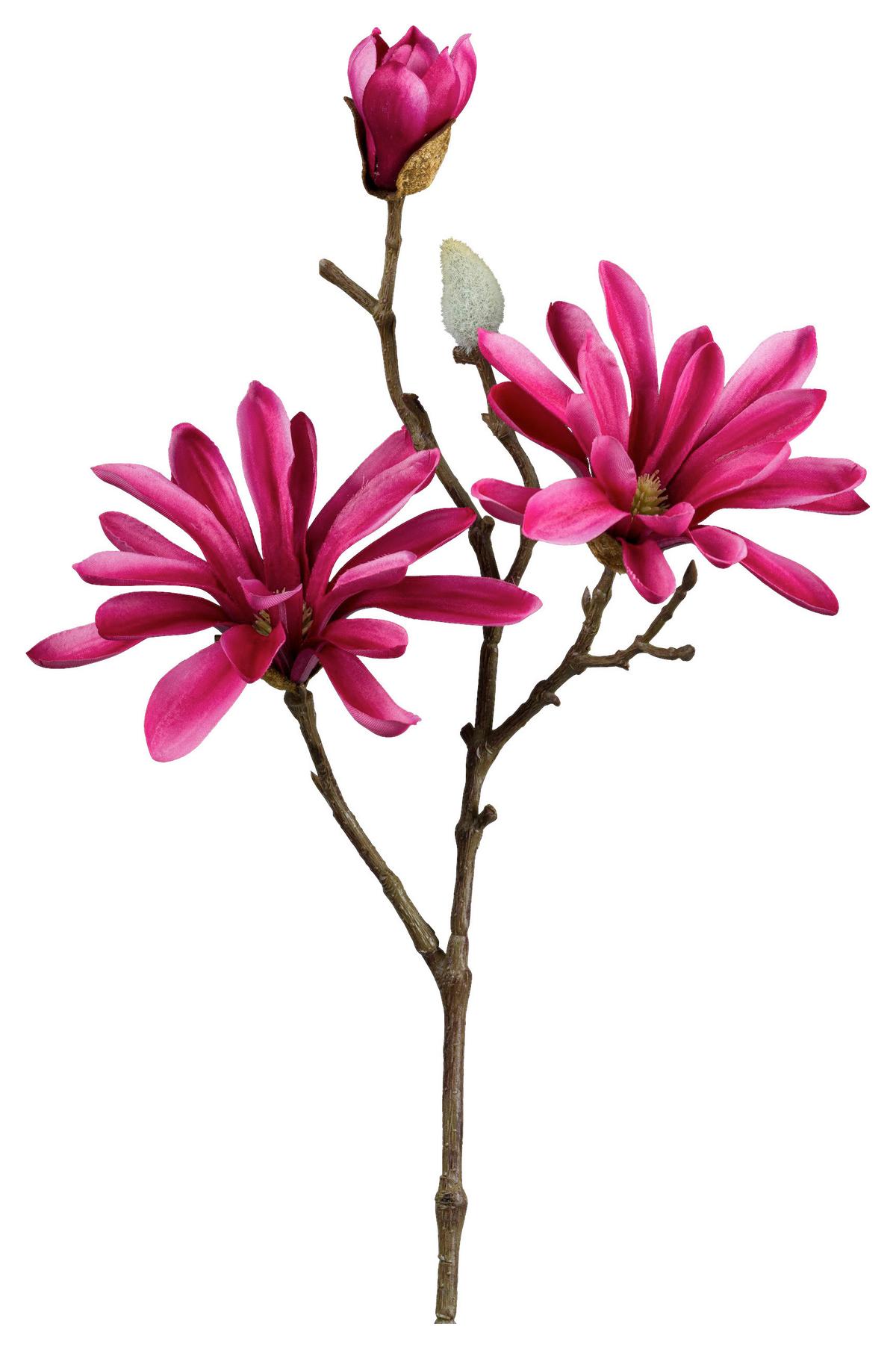 Kunstpflanze Magnolie I Pink/Braun - Pink/Braun, Konventionell, Kunststoff (69cm) - Modern Living