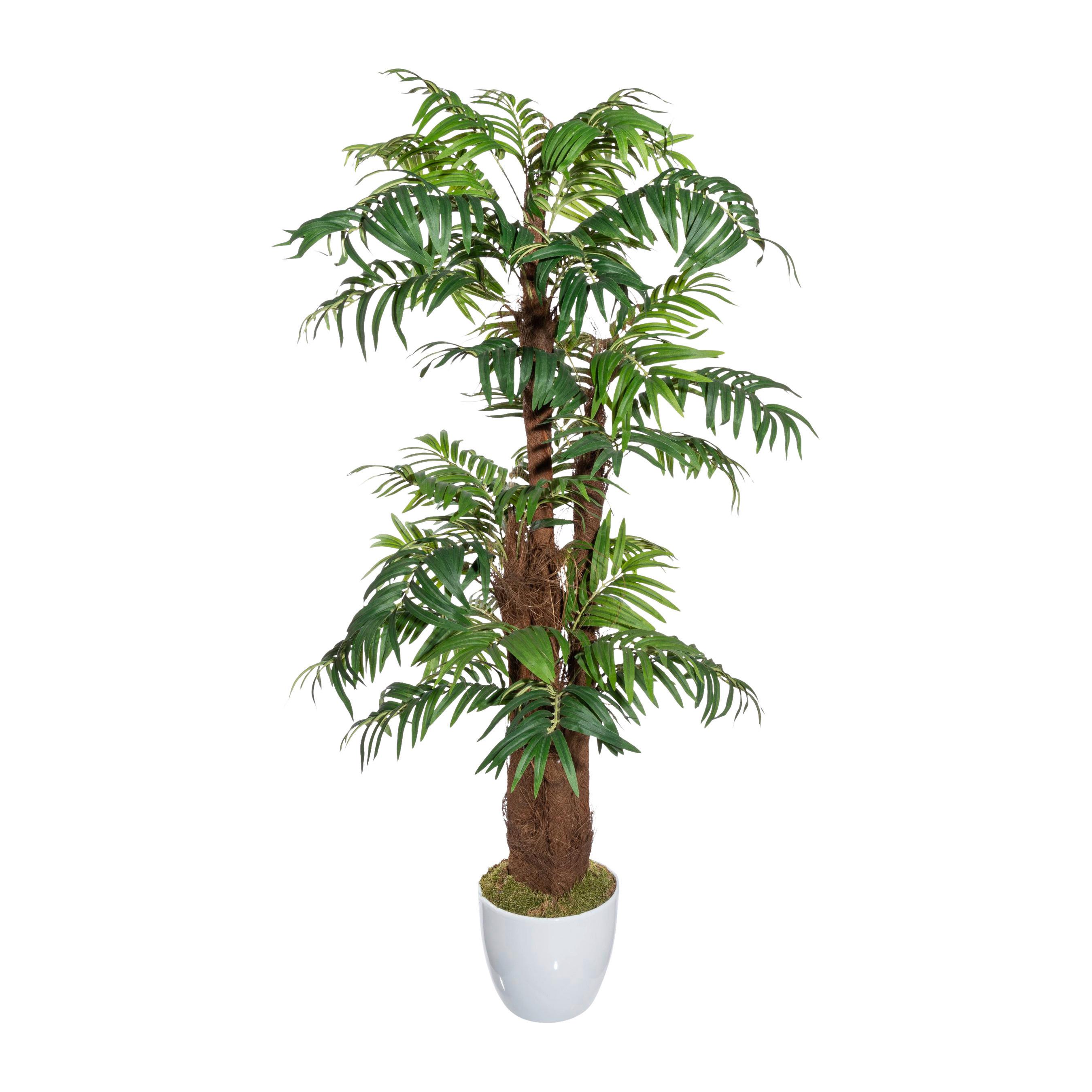 Kunstpflanze Palmen Grün/Braun/Weiß - Braun/Weiß, Design, Naturmaterialien/Keramik (150cm)