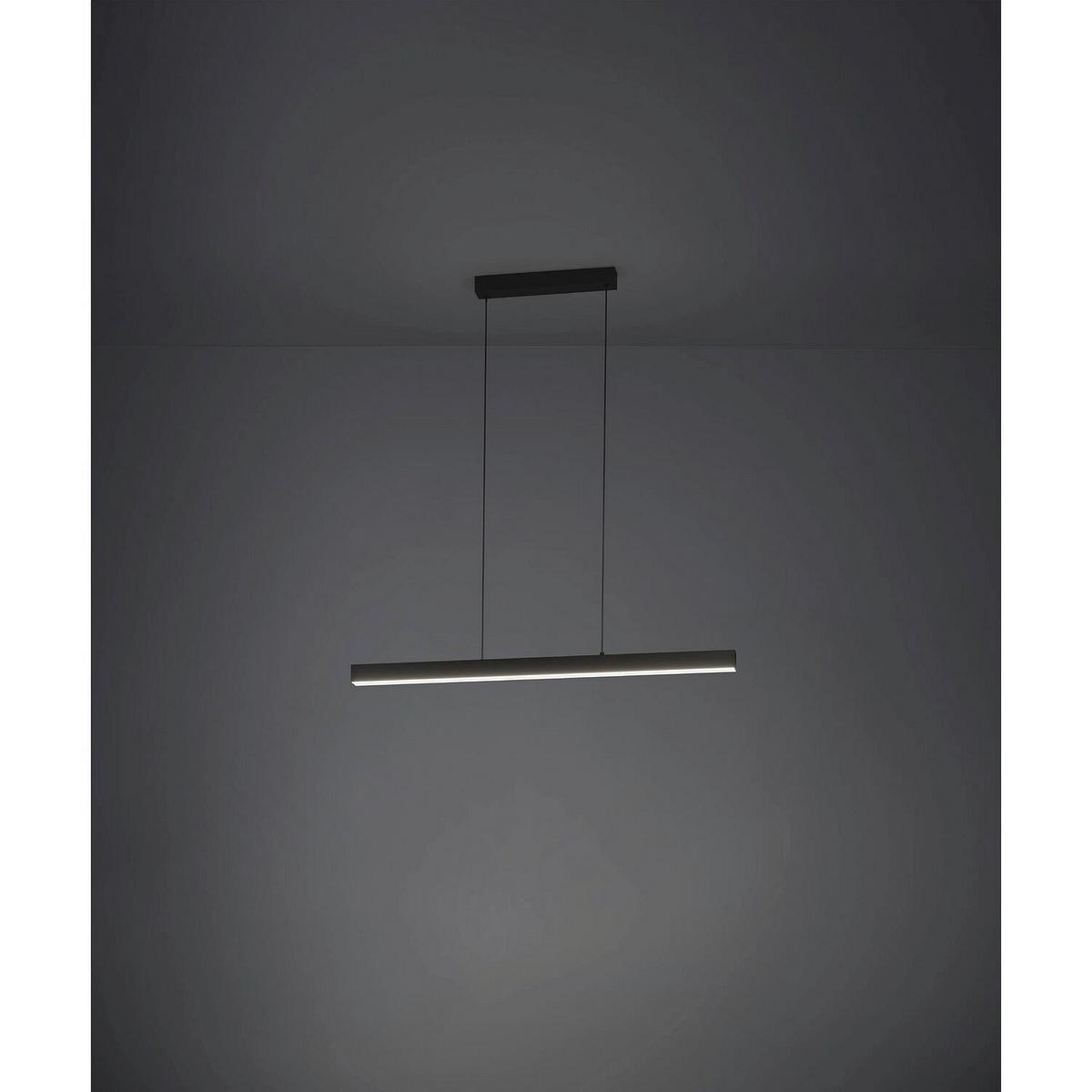 Hängeleuchte 103382220 Schwarz max. 10 Watt - Schwarz, MODERN, Metall (110-180/150/6,5cm)