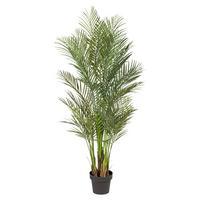 Kunstpflanze Palmen Grün/Schwarz ca. 160cm - Schwarz/Grün, Design, Kunststoff (160cm) - P & B