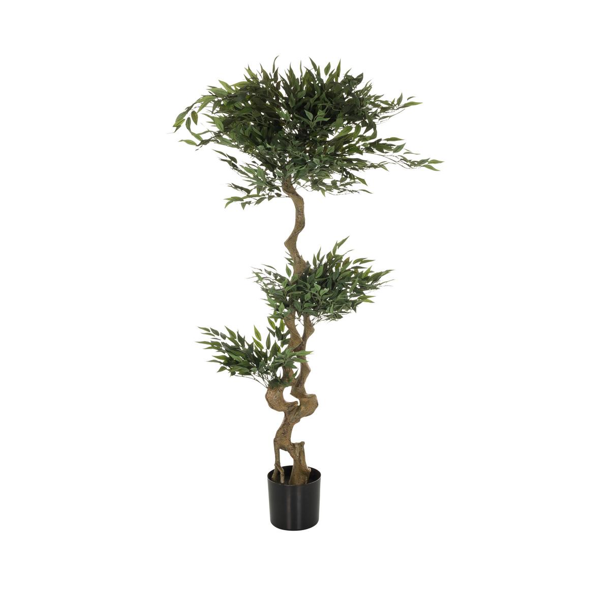 Umetna Rastlina Acacia - črna/zelena, Basics, umetna masa/tekstil (45/155/45cm) - MID.YOU