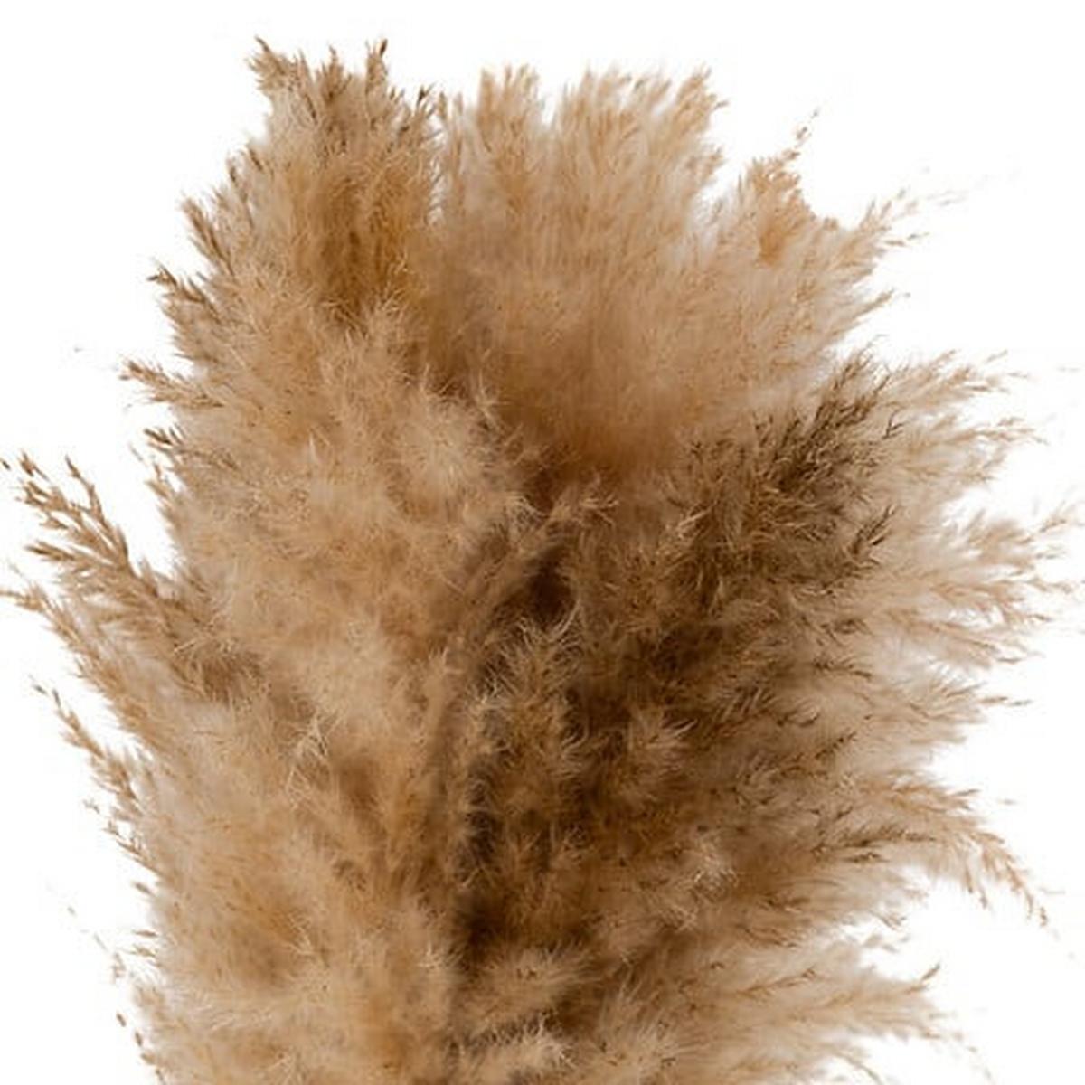 Floare decorativă Glen - Basics (10/42/10cm)