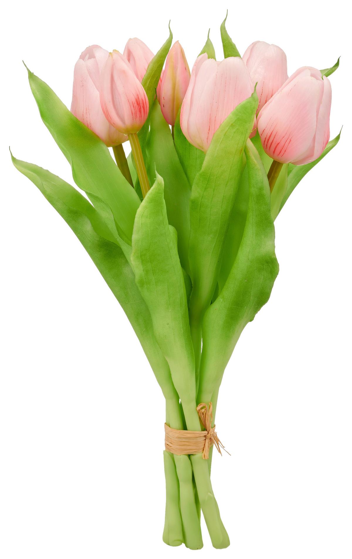 Tulpe Tulpenbund I Rosa ca. 31cm - Rosa/Grün, Basics, Kunststoff/Metall (31cm) - Mömax
