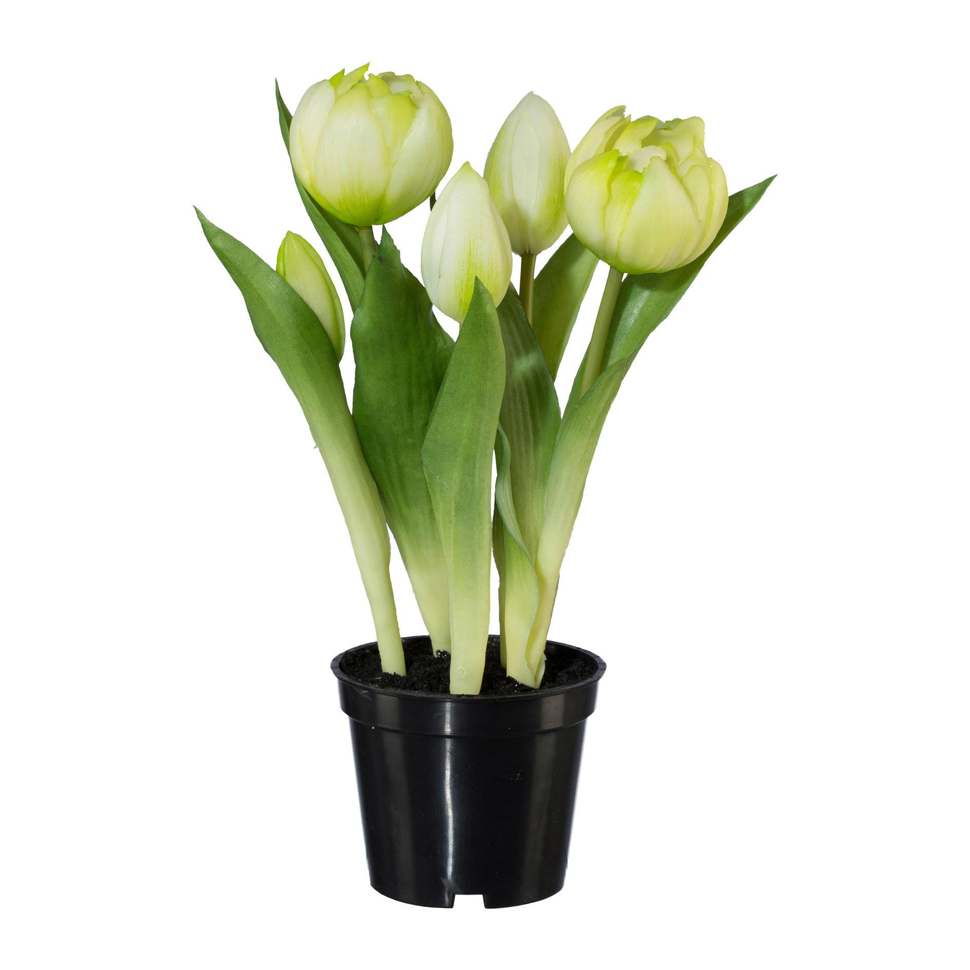 Kunstpflanze Tulpe I in Grün/Weiß - Schwarz/Weiß, Basics, Kunststoff (25cm) - Modern Living