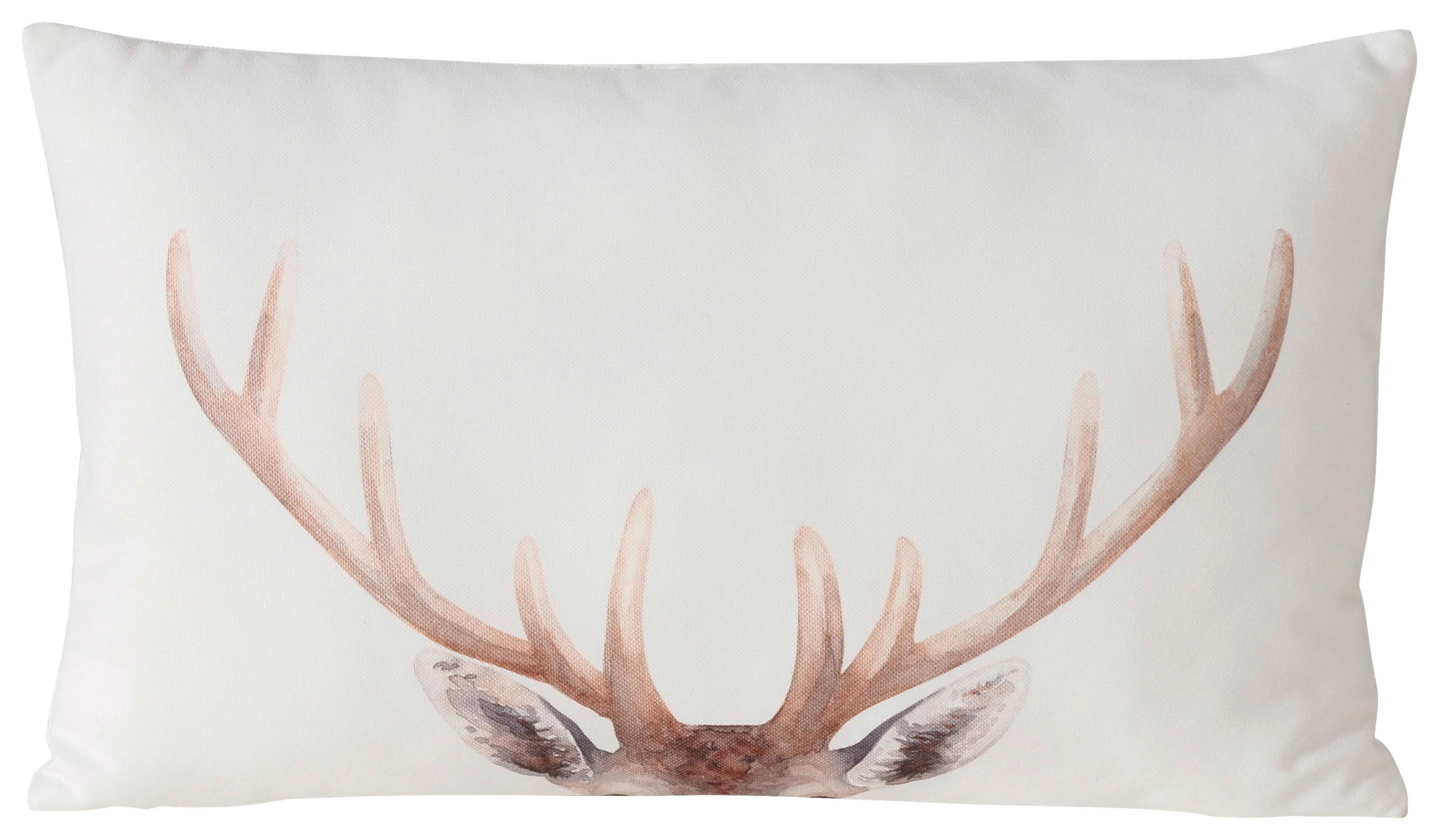 Zierkissen Aspen Braun/Weiß ca. 50x30cm - Braun/Weiß, ROMANTIK / LANDHAUS, Textil (50/30cm)