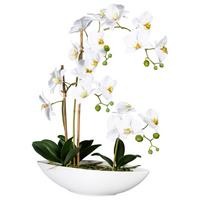 Kunstpflanze Orchideen Grün/Weiß - Weiß/Grün, Design, Keramik/Kunststoff (60cm)