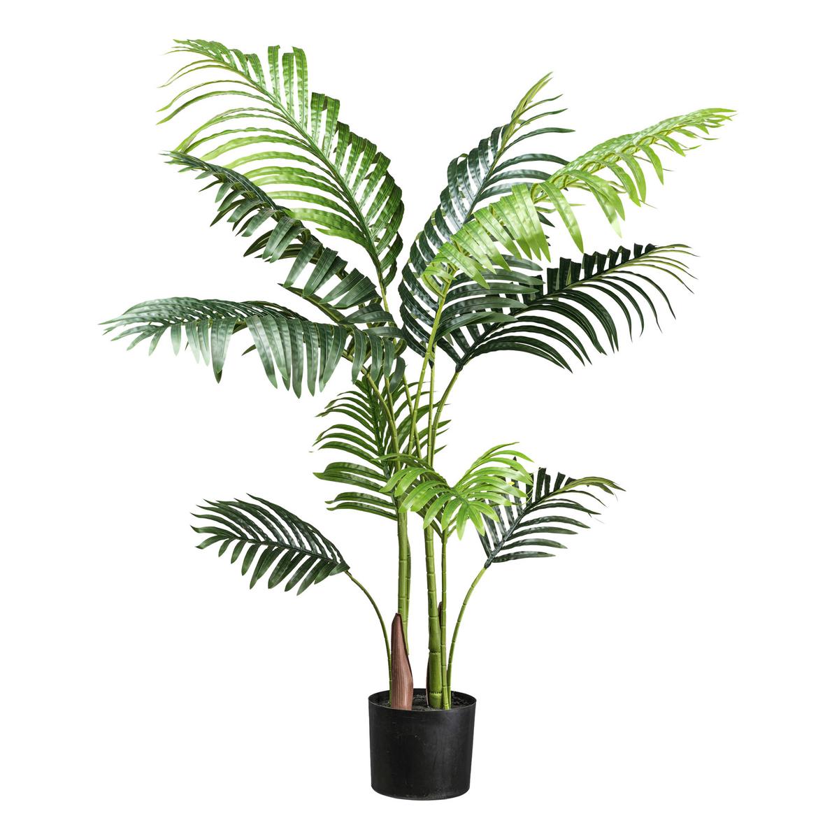 Umetna Rastlina Kentiapalme Ii - črna/zelena, Basics, umetna masa (110cm) - Modern Living