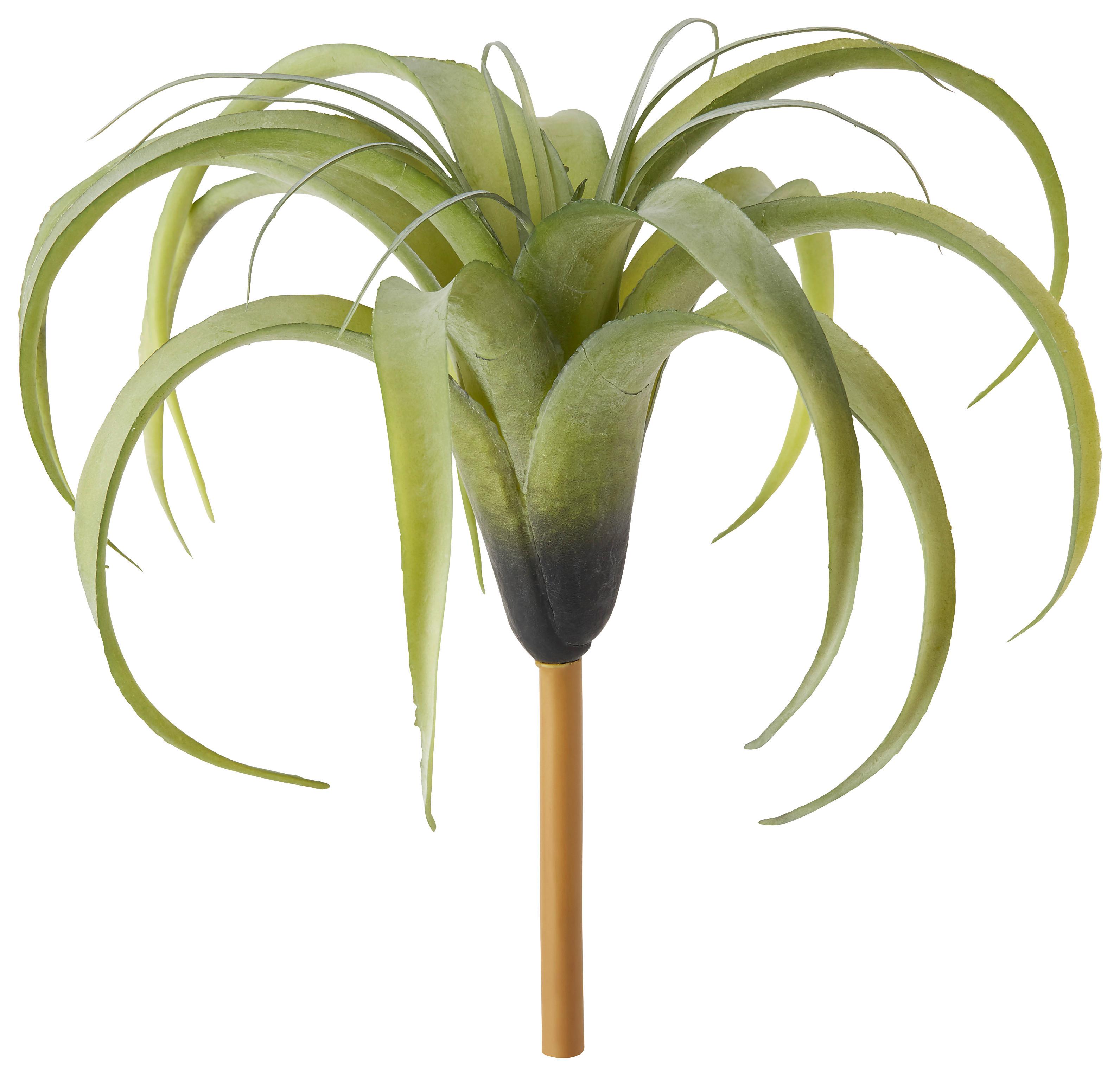 Plantă artificială Tillandsie - verde, Basics, plastic (30/26cm)