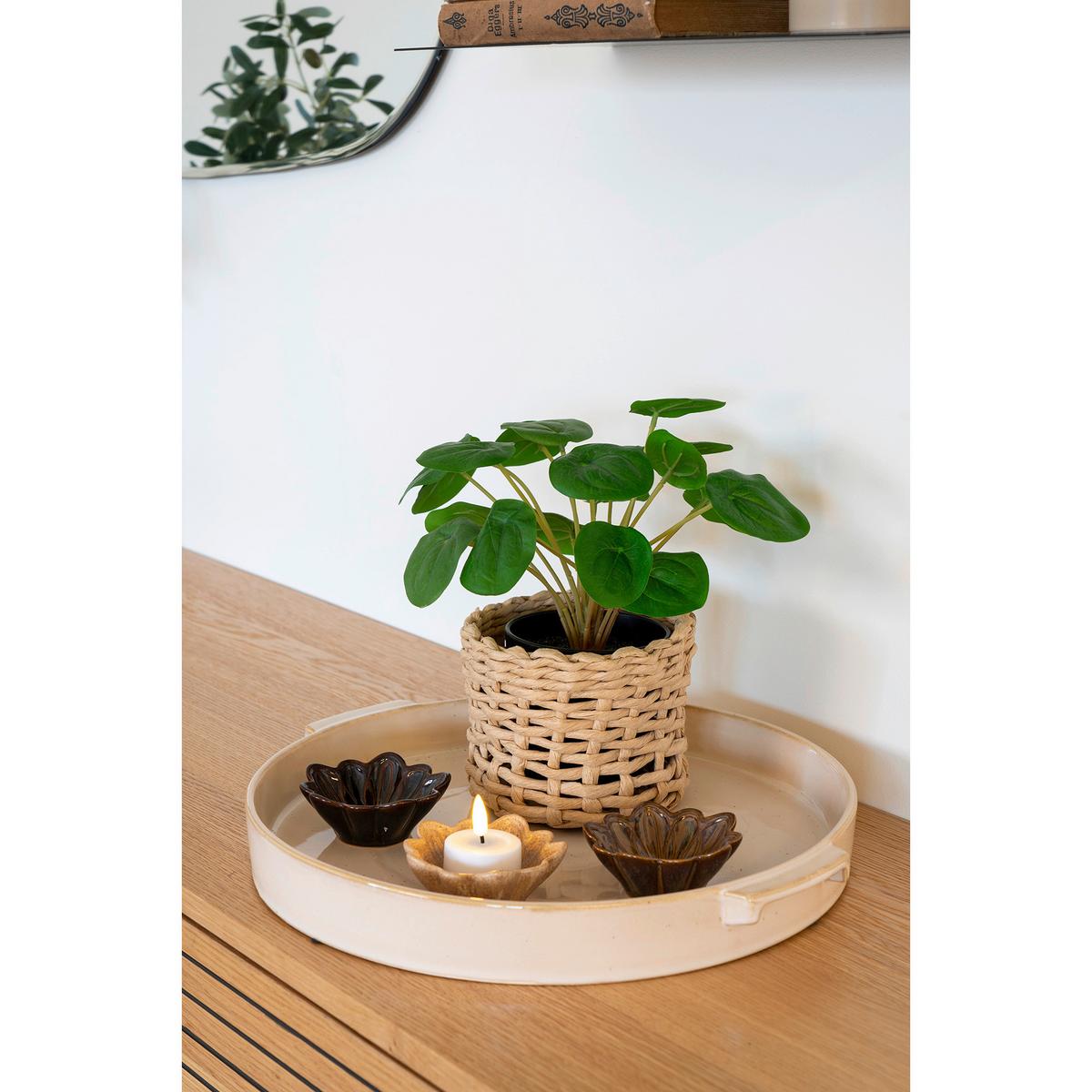 Kunstpflanze Pelia Grün - Schwarz/Grün, Basics, Kunststoff (28/14cm)