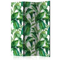 Paravan Jungle Vibes, 3-Delni, Dvostranski - zelena/bela, Basics, tekstil/les (135/172/3cm) - artgeist