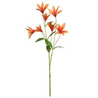 Dekozweig Clematis I Orange/Grün - Orange/Grün, Konventionell, Kunststoff (84cm) - Mömax