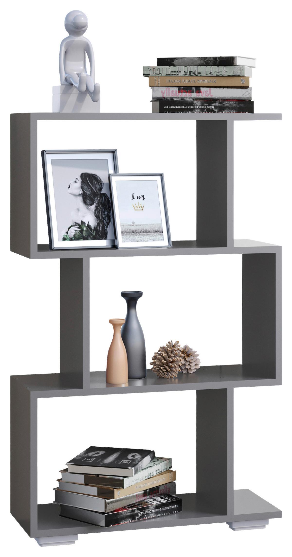 REGAL PALUSA M - Anthrazit/Silberfarben, Design, Holzwerkstoff/Kunststoff (60/97/24cm) - MID.YOU