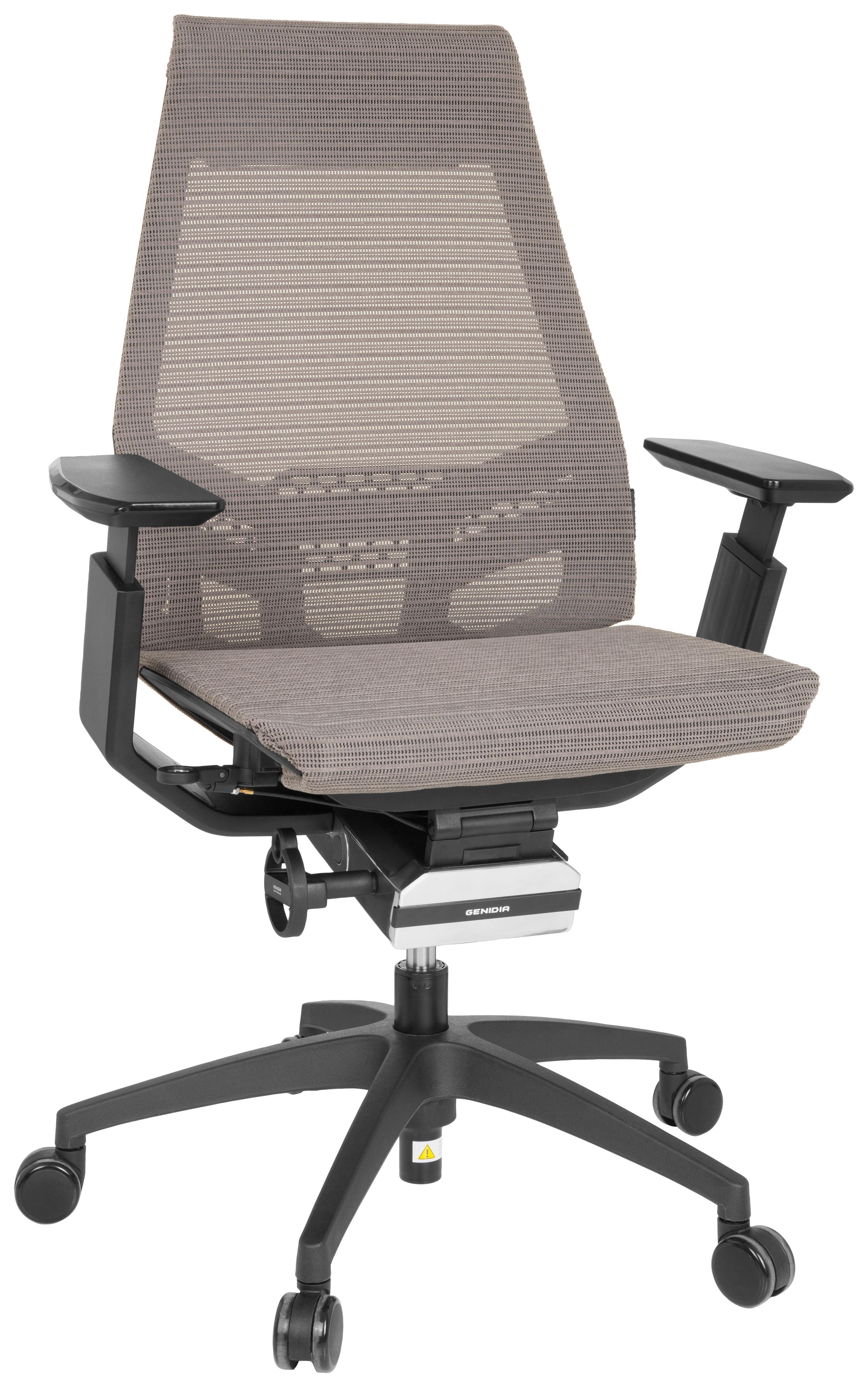 Pisarniški Stol Genidia Smart, Siva, Črna - siva/črna, Moderno, umetna masa/tekstil (70/112/55cm) - MID.YOU