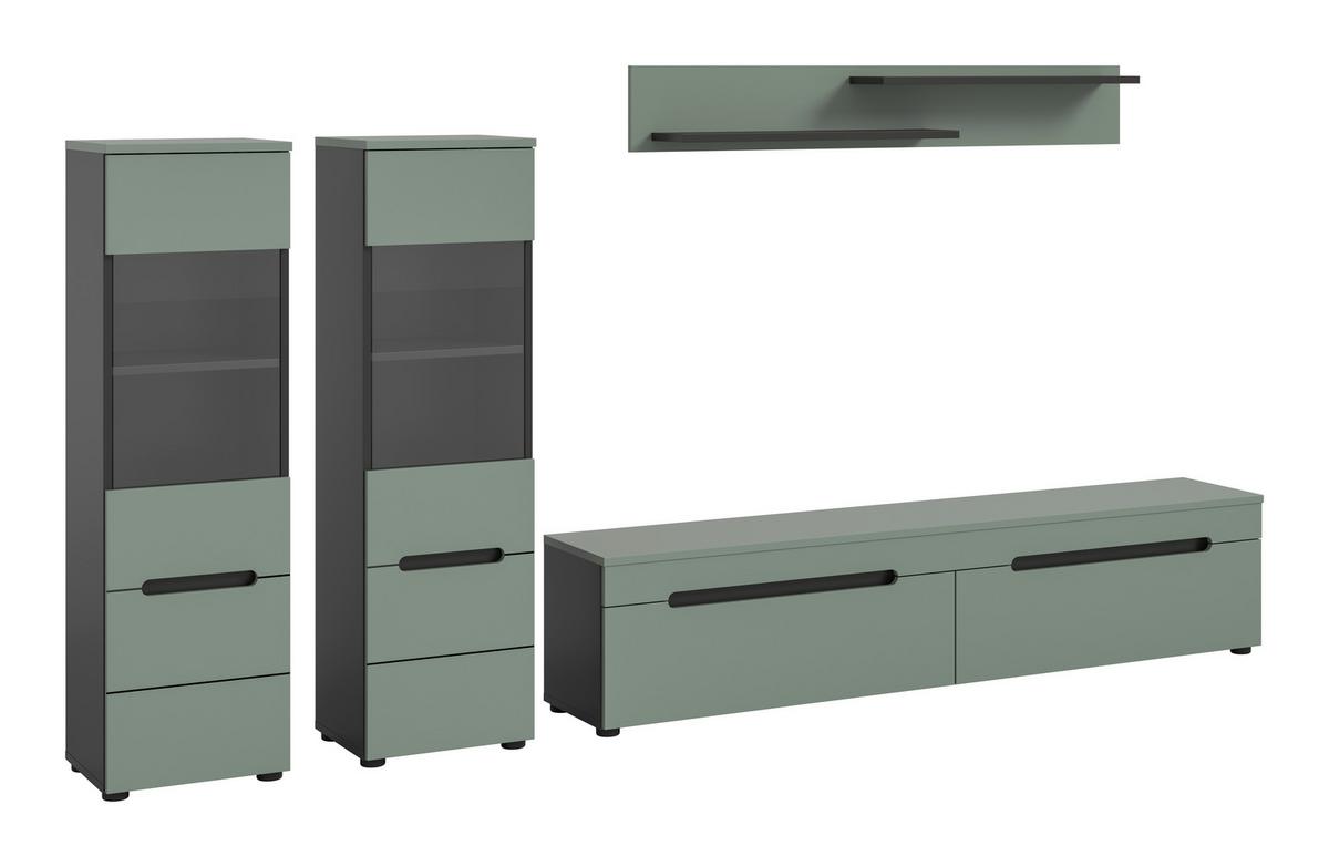 Dnevni Regal Canu, Sivozelena, 4-Delni - črna, Design, umetna masa/leseni material (272/141/33cm) - Livetastic