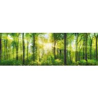 Keilrahmenbild Marcus Waldgrün ca. 150x50cm - Waldgrün, Basics, Holz (150 cm/50 cm/3 cmcm) - Mömax