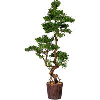Kunstpflanze Bonsai Grün/Braun - Braun/Grün, Design, Keramik/Kunststoff (155cm)