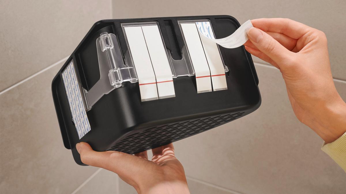 KOSZYK PRYSZNICOWY LAVAA - czarny, Basics, tworzywo sztuczne (20/12/20cm) - Tesa