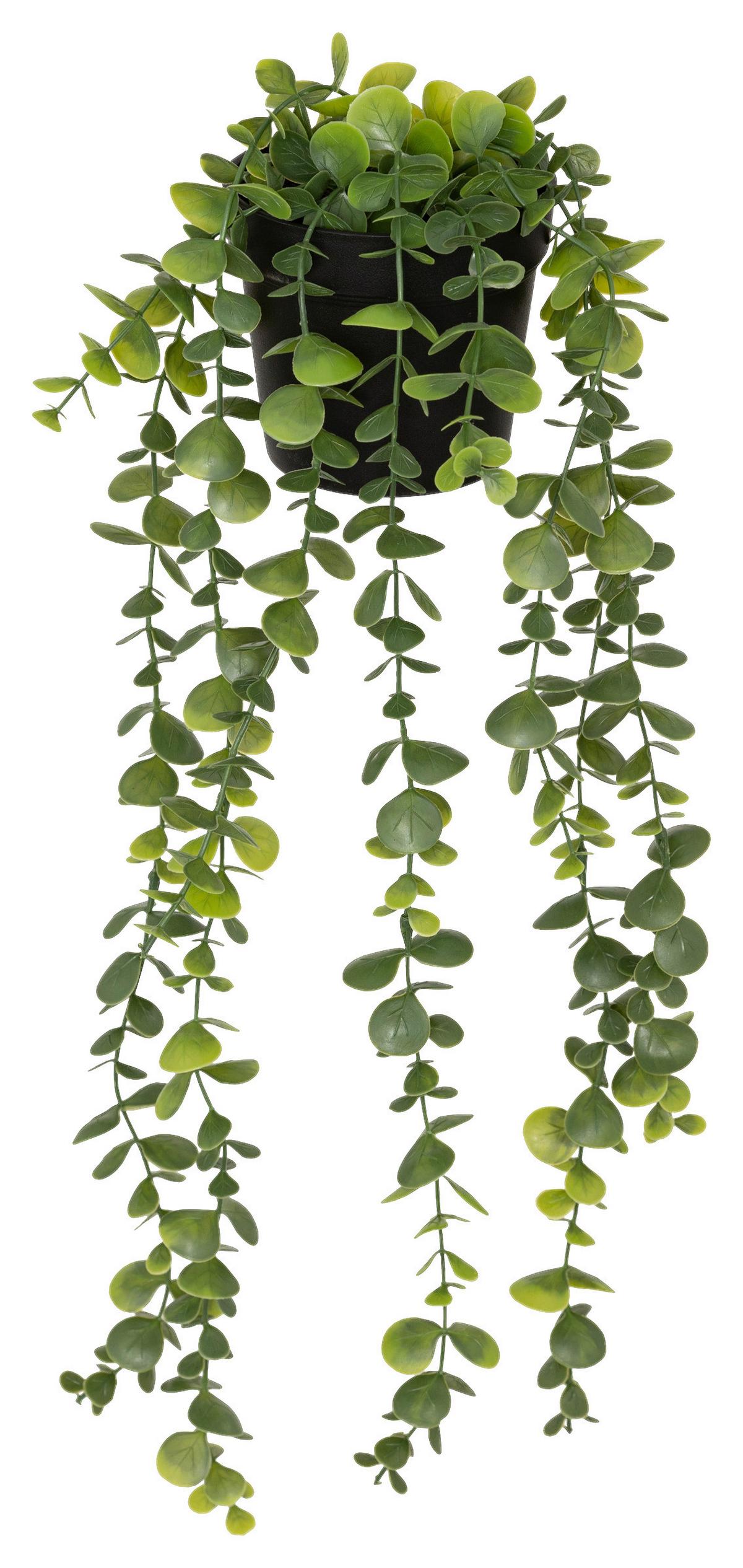 Biljka Umjetna Eukalyptus - zelena/boje kadulje, Basics, plastika (18/51/13cm) - Mömax