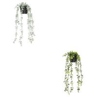 Biljka Umjetna Eukalyptus - zelena/boje kadulje, Basics, plastika (18/51/13cm) - Mömax