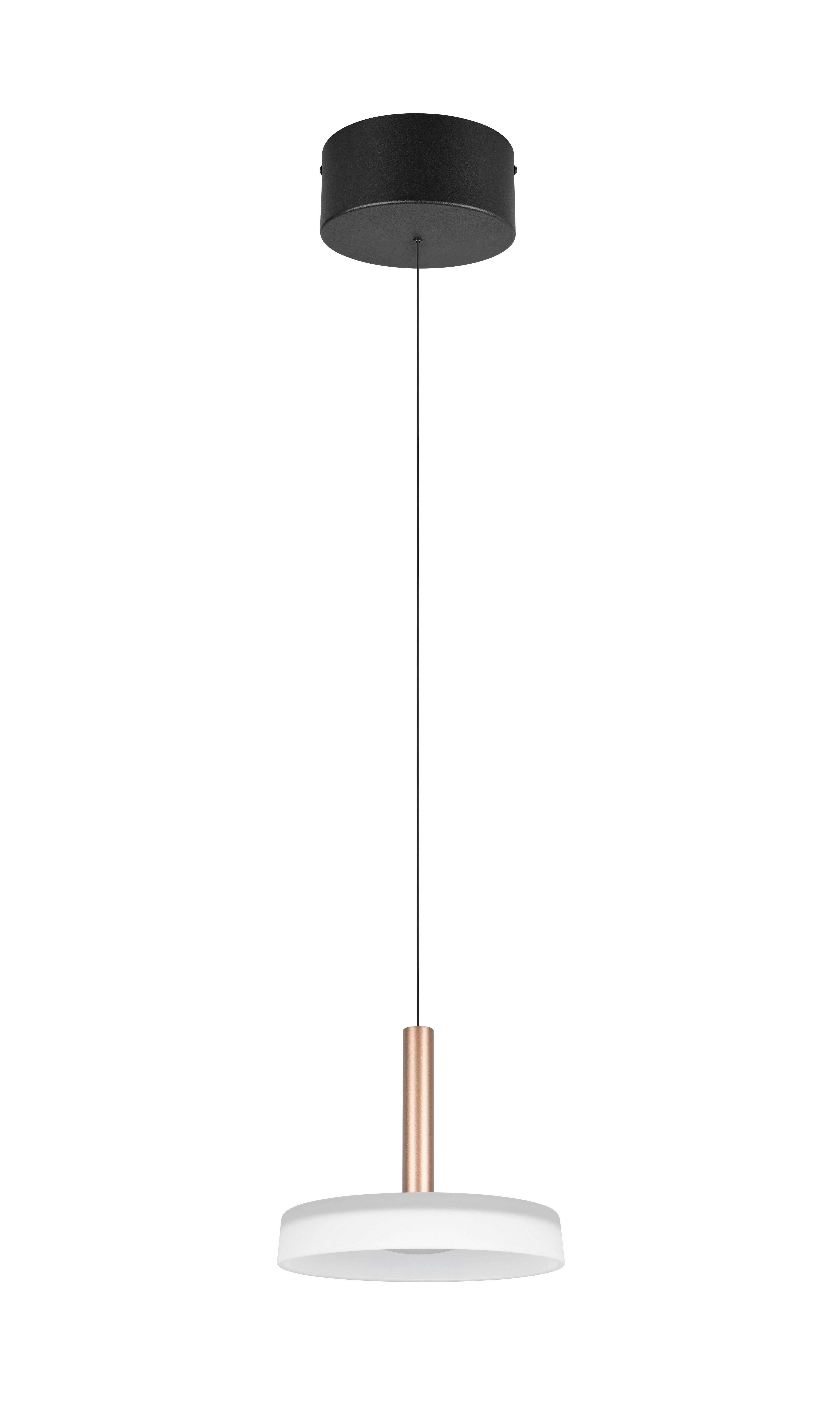 LAMPA ZWIESZANA LED 354910165 CELESTE - biały/brązowy, Design, metal/szkło (22/200cm) - Trio Leuchten