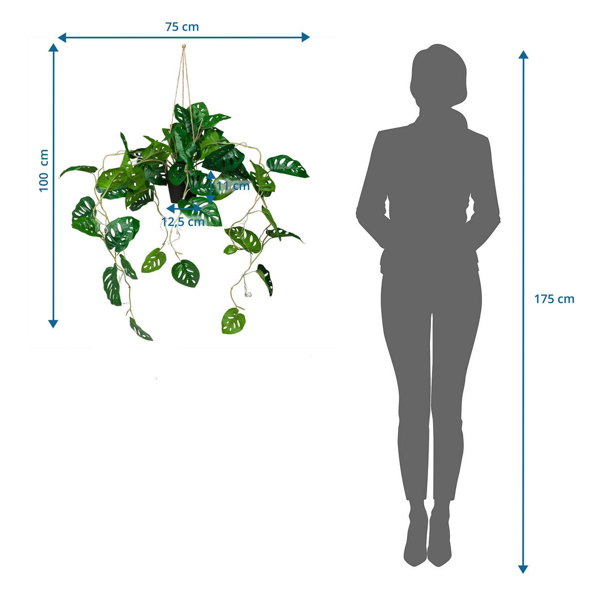 Umetna Rastlina Monstera Climb - črna/zelena, Moderno, umetna masa (75/100/63cm) - MID.YOU