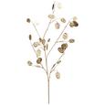 Pfennigblattzweig Marie Goldfarben - Goldfarben, Kunststoff (87cm)