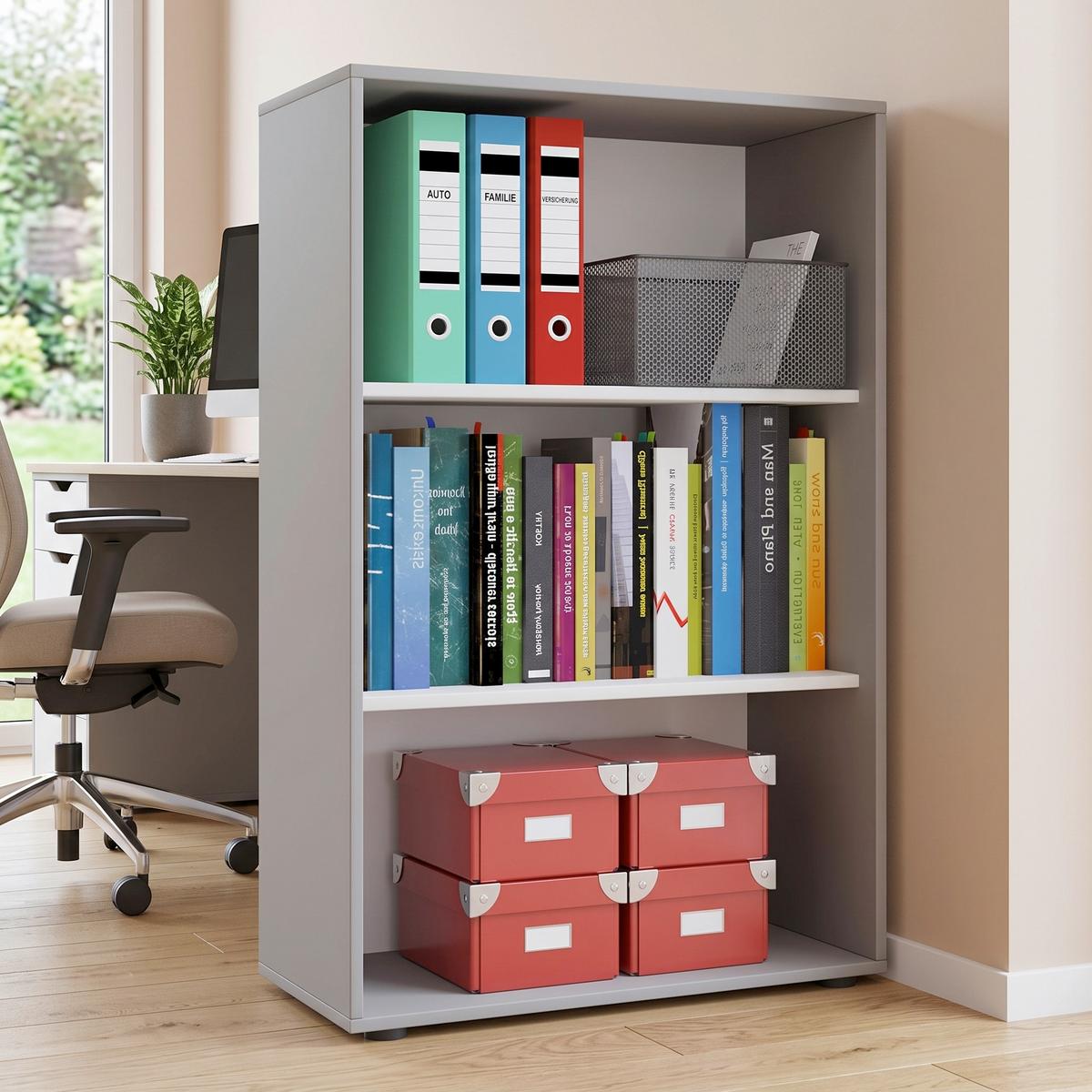 Etajeră Pentru Documente Lona Xl - gri, Basics, material pe bază de lemn (70/105/37cm) - P & B