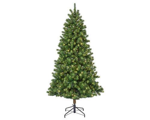 CHOINKA KENMORE TANNE - zielony, Basics, tworzywo sztuczne/metal (81/150cm) - X-Mas