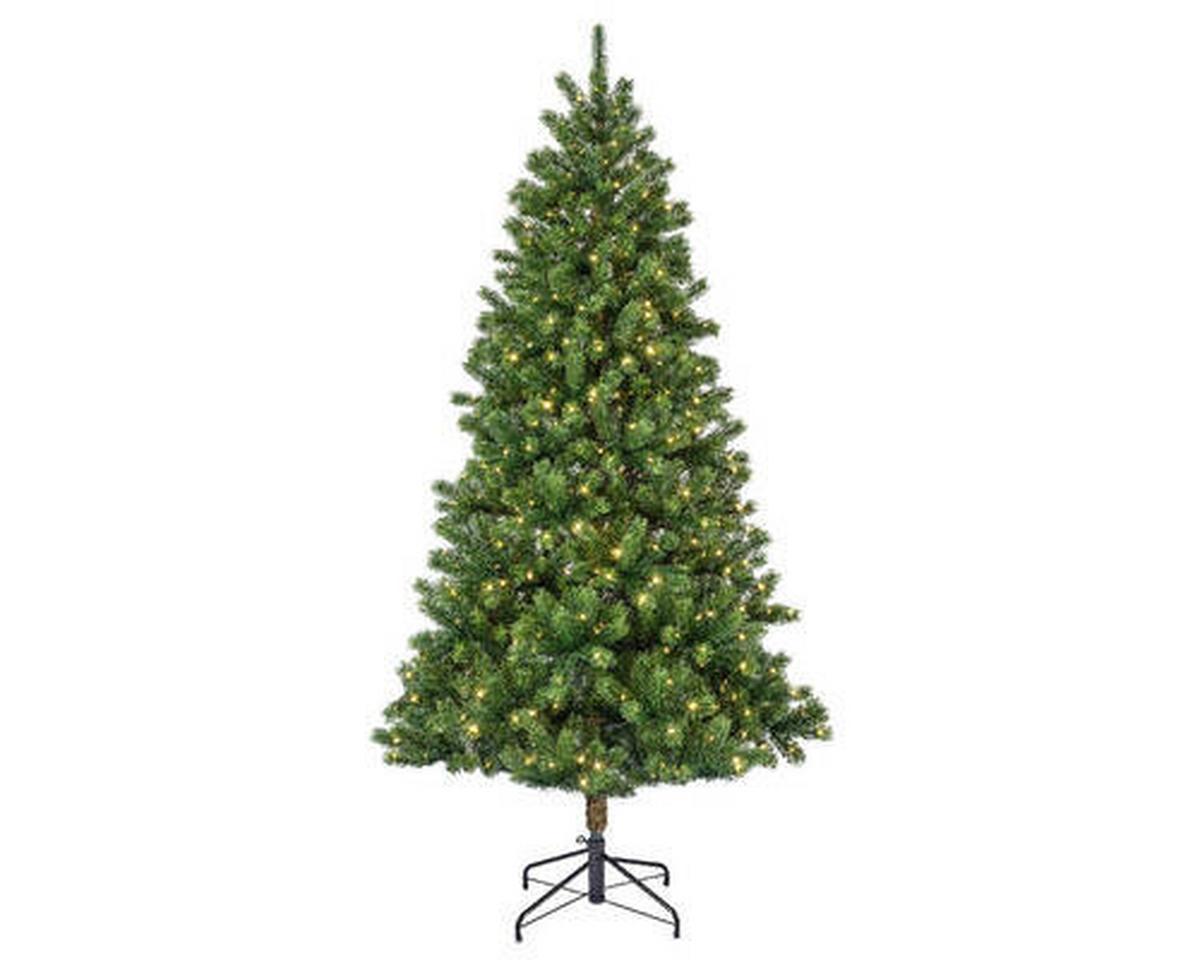 CHOINKA KENMORE TANNE - zielony, Basics, tworzywo sztuczne/metal (81/150cm) - X-Mas