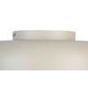 LED-TAKLAMPA MIKE - vit/sandfärgad, Modern, metall/plast (35/35/11cm) - Mömax