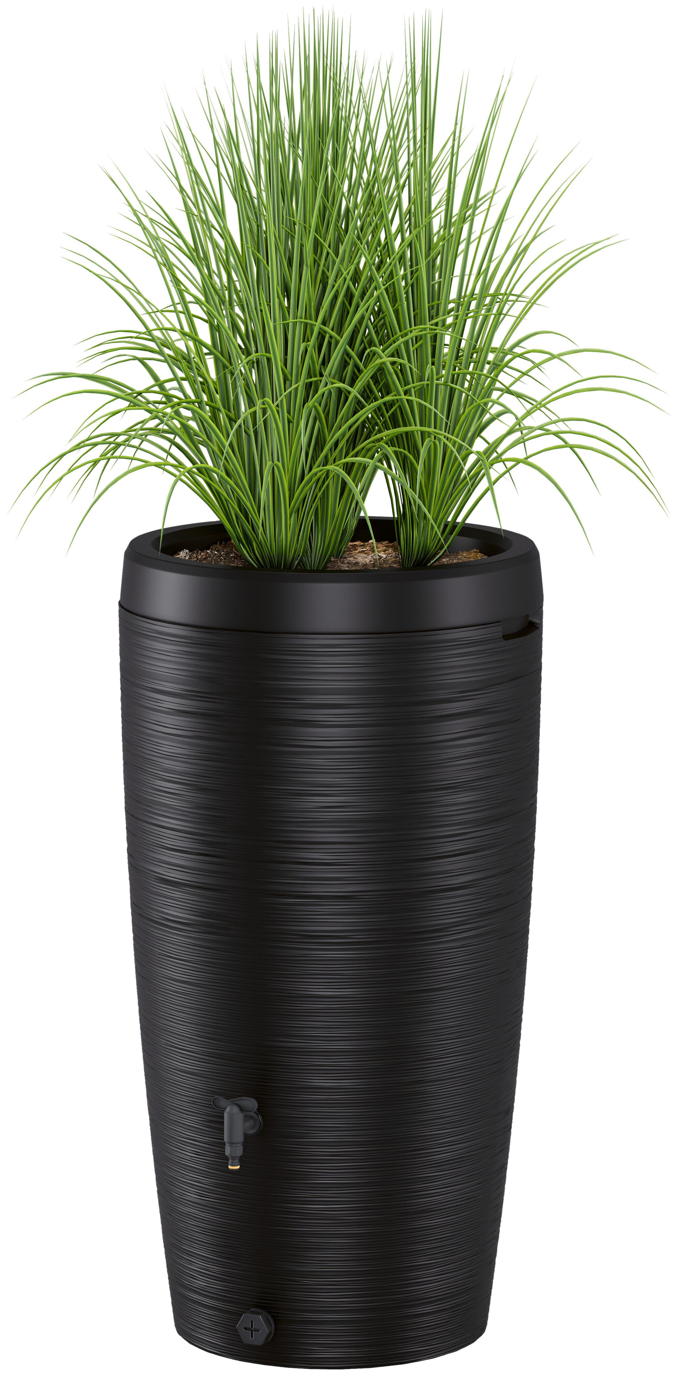 Übertopf Regentonne Gubo Schwarz - Schwarz, KONVENTIONELL, Kunststoff (59,5/112/59,5cm) - Mömax