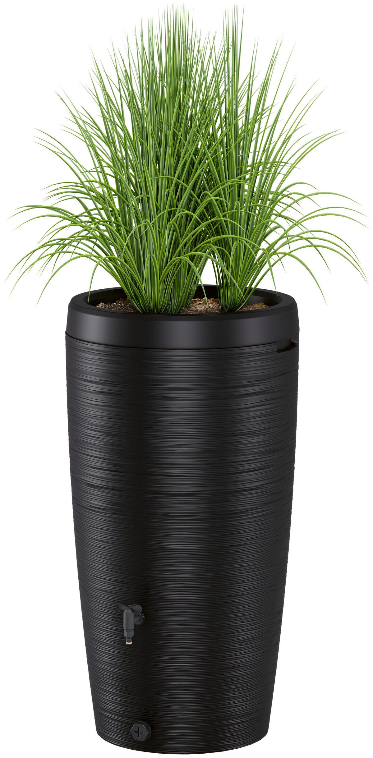 Übertopf Regentonne Gubo Schwarz - Schwarz, KONVENTIONELL, Kunststoff (59,5/112/59,5cm) - Mömax