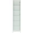 Vitrina Nova - aluminij/bela, Moderno, kovina/steklo (44/183/37cm) - Mömax modern living Vitrina Nova - aluminij/bela, Moderno, kovina/steklo (44/183/37cm) - Mömax modern living